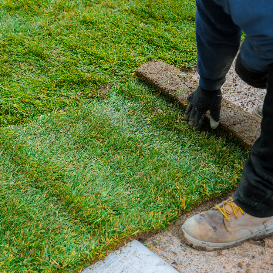 grass installation near me-042